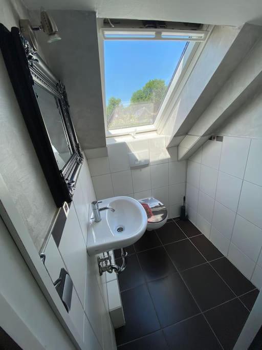 Ferien-Villa Direkt Am Rhein Sauna/Whirlpool Gotterswickerhamm Exteriör bild